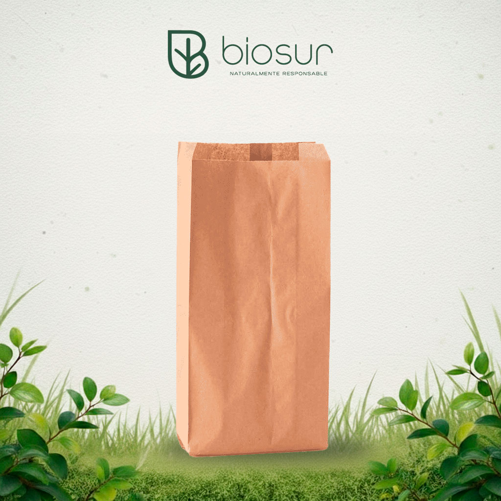 Bolsa de Papel Kraft sin Asa #6 | 1000 pzas