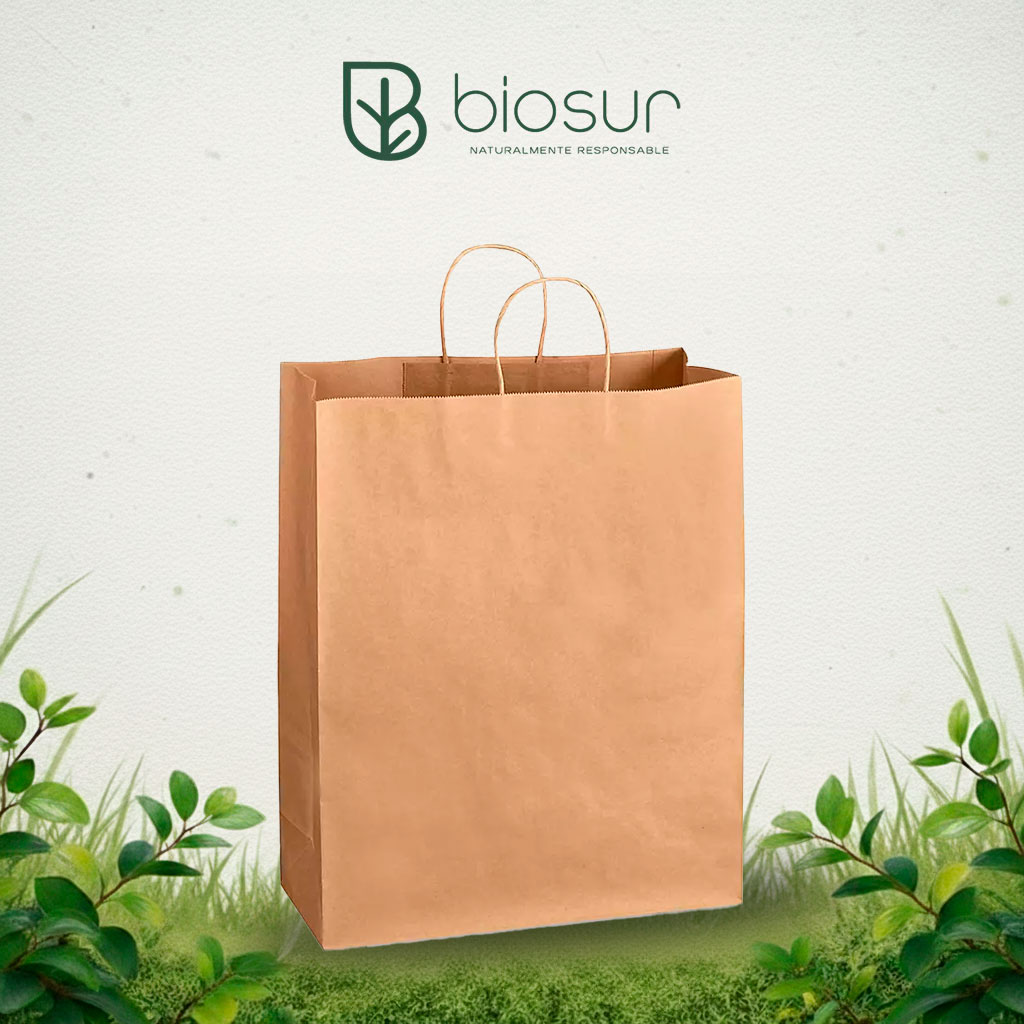 Bolsa con Asa de Papel Kraft | Ecológica