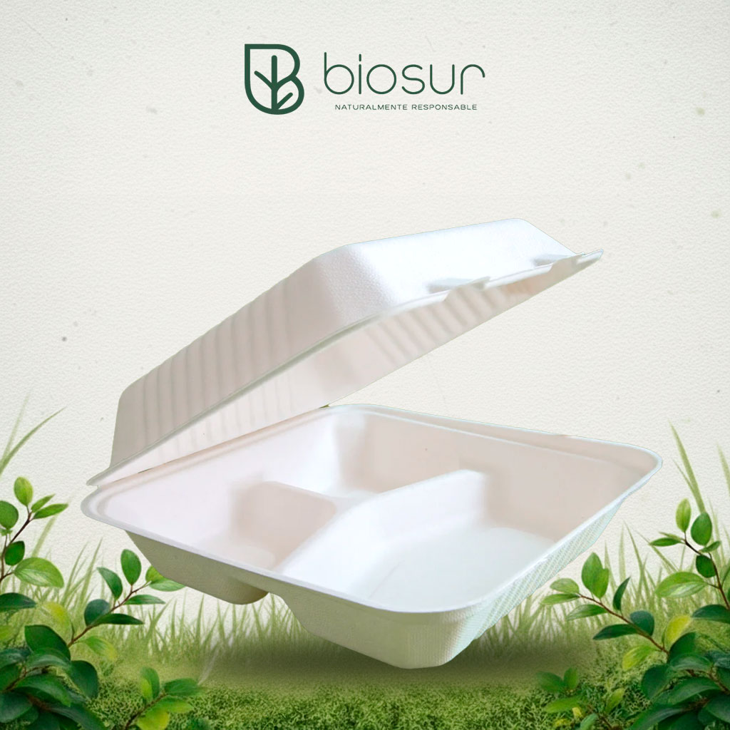 Contenedor Almeja 9×9 Liso de Bagazo | Biodegradable