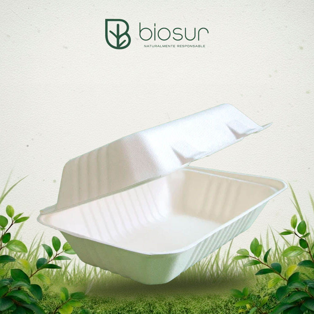 Contenedor Almeja Rectangular 9×6 de Bagazo | Eco