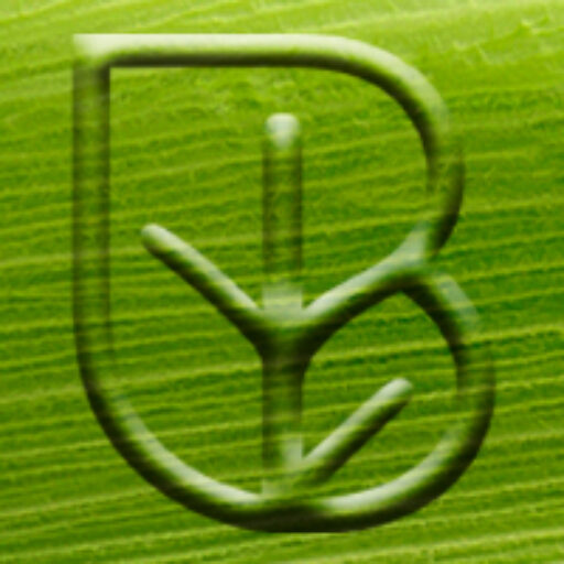 Biosur | Desechables biodegradables para un consumo responsable