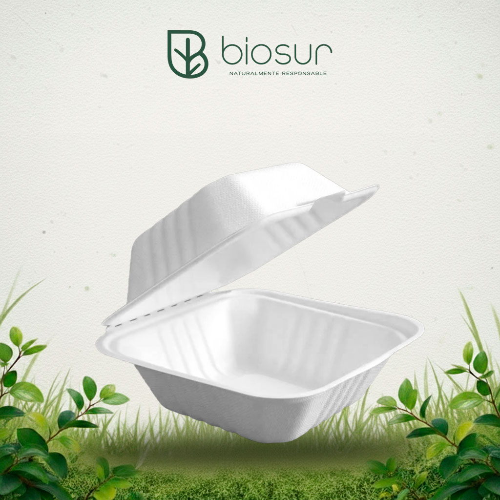 Hamburguesero 6×6 de Bagazo de Caña | Biodegradable
