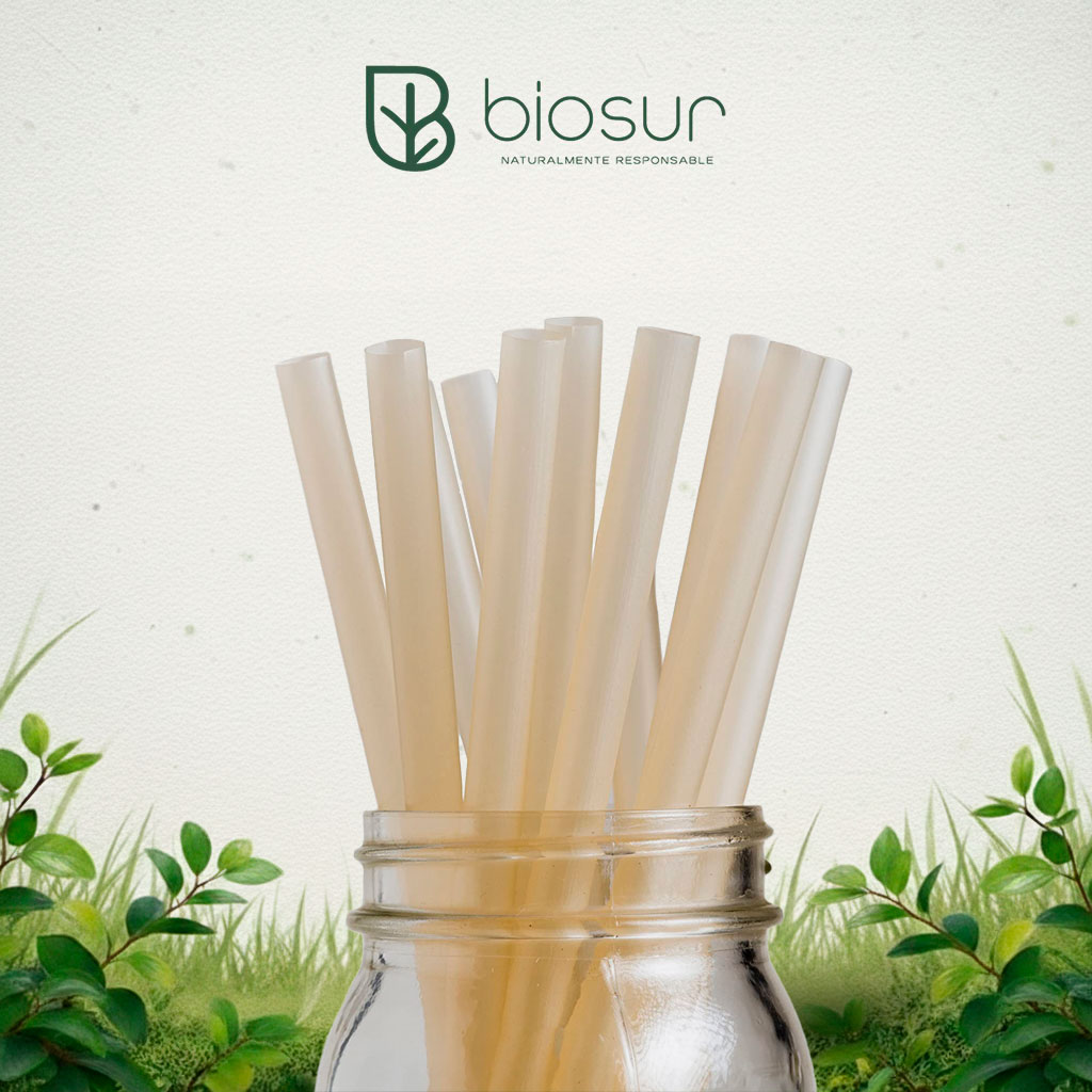 Popote Tapioca PLA 24 cm Estuchado | Biodegradable