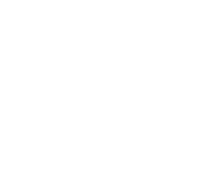 Logo Biosur