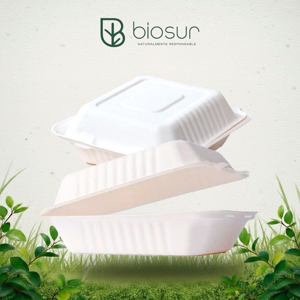 Contenedor Almeja 8×8 Liso de Bagazo | Biodegradable