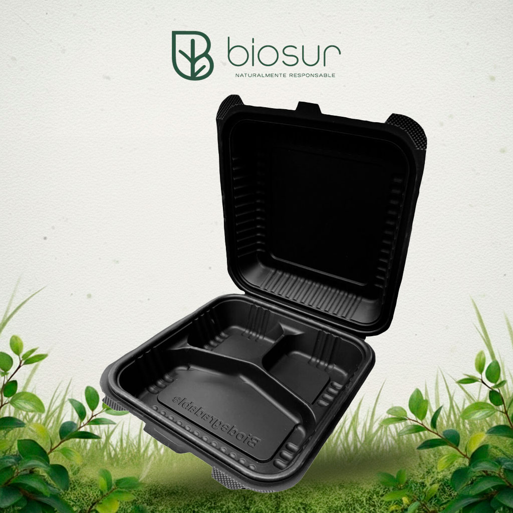 Contenedor Almeja Negro 9×9 con Divisiones | Eco