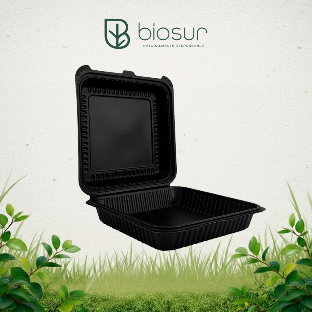 Contenedor Almeja Negro 9×9 Liso | Fécula de Maíz Eco