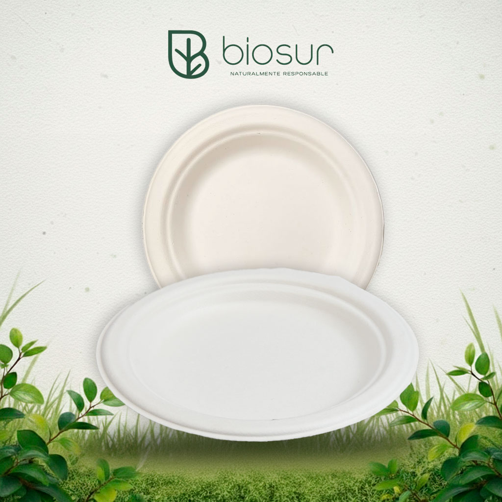 Plato Redondo 6” de Bagazo de Caña | Biodegradable